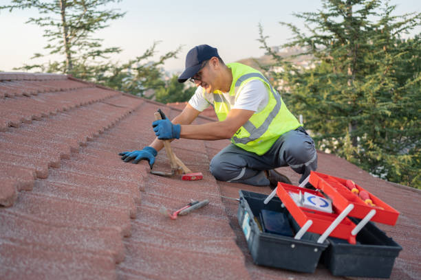 Best Roof Repair Services  in East Sparta, OH